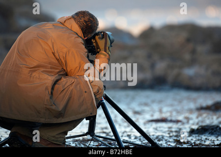 Fotograf mit Kamera auf Stativ Küstenvögel bei Ebbe Grafschaft unten Nordirland Vereinigtes Königreich fotografieren Stockfoto