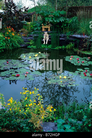 Seerose Pool mit spritzenden Abbildung Stockfoto