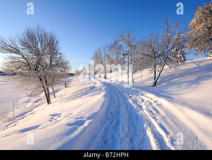 Weihnachtsmorgen nach Neuschnee in Bell Park, Sudbury, Ontario, Kanada Stockfoto