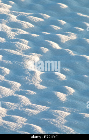 Neuschnee bedeckt Dach, Sud-Touraine, Frankreich. Stockfoto