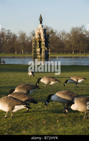 Gänse vor der Arethusa "Diana" Fountain Bushy Park, während des Winters. VEREINIGTES KÖNIGREICH. (45) Stockfoto