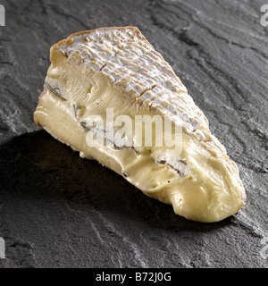 Trüffel-Brie französischer Weichkäse Stockfoto