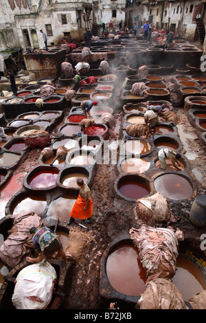 Becken der Farbe in der Fes Gerbereien, Fes, Marokko Stockfoto