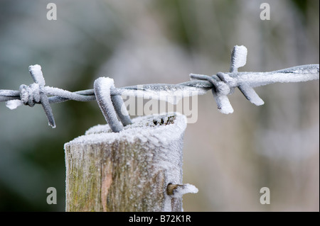 Raureif auf Zäunen Post und Draht Cumbria, England Stockfoto