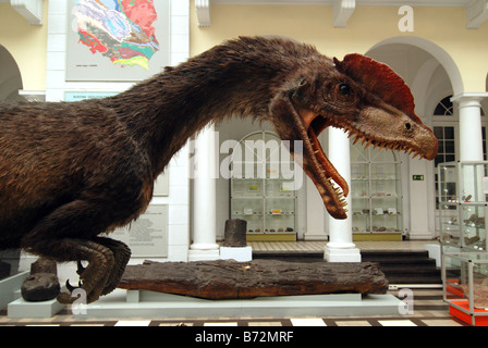 Modell der Dilophosaurus Wetherilli Dinosaurier aus der frühen Jurazeit Stockfoto