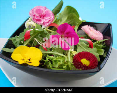 Salat mit essbaren Blüten Rezept erhältlich Stockfoto