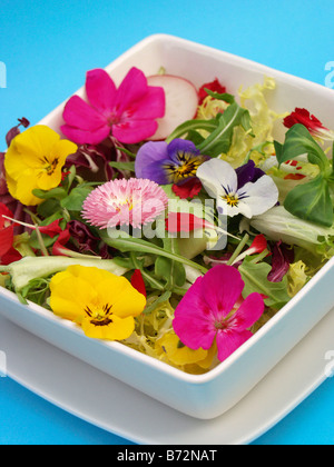 Salat mit essbaren Blüten Rezept erhältlich Stockfoto