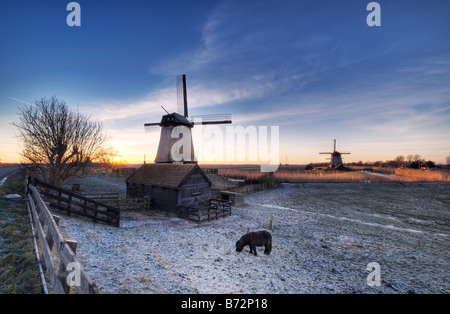 schöne Winter-Windmühle-Landschaft in den Niederlanden Stockfoto