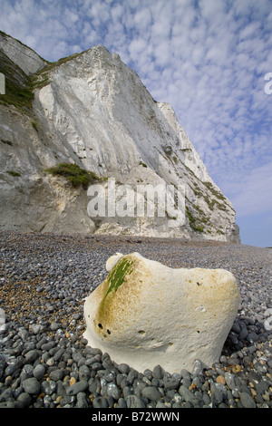 Die weißen Klippen an der St. Margaret Bay, in der Nähe von Dover, Kent. Stockfoto