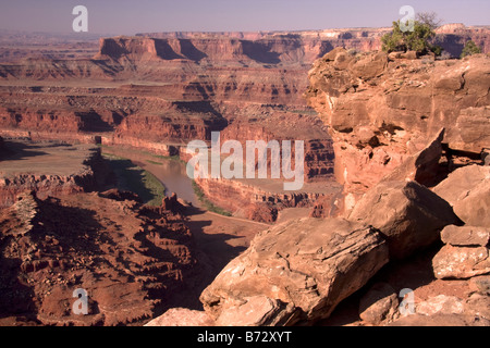 Der Colorado River nähert sich der Schwanenhals in den frühen Morgenstunden von der Rim Overlook in Dead Horse Point State Park in Utah gesehen Stockfoto