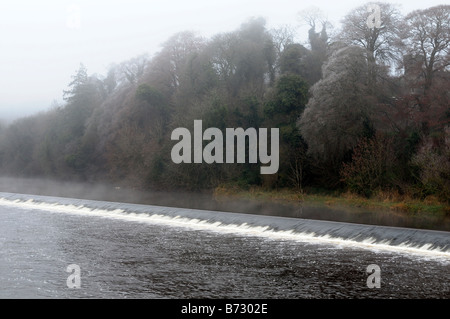 Einfrieren von Nebel hüllt Bäume mit Frost am Wehr am Fluss Boyne bei Kells Grafschaft Meath ireland Stockfoto