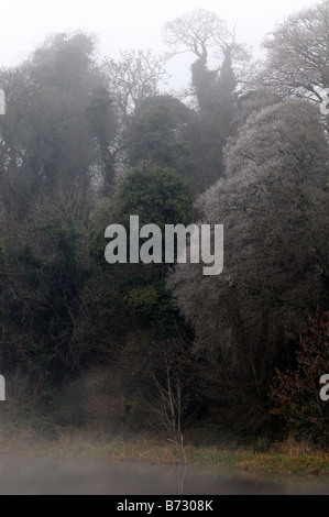 Einfrieren von Nebel hüllt Bäume mit Frost am Wehr am Fluss Boyne bei Kells Grafschaft Meath ireland Stockfoto