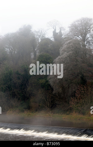 Einfrieren von Nebel hüllt Bäume mit Frost am Wehr am Fluss Boyne bei Kells Grafschaft Meath ireland Stockfoto