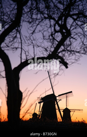 Niederländischen Kinderdijk Windmühlen mit Eis im winter Stockfoto