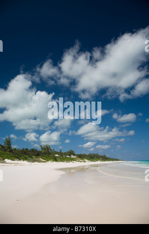 Der Strand am Hafen Insel der Bahamas Stockfoto