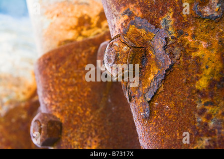 Rostige Schrauben und Metall, hautnah. Stockfoto