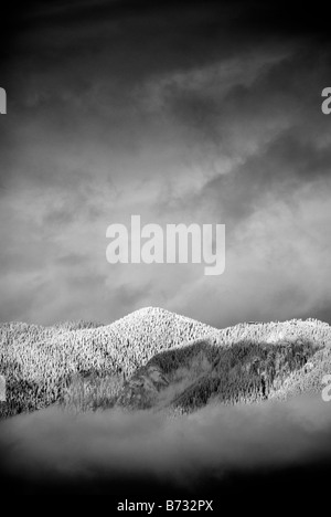 Vancouver schneebedeckte Berge über flauschigen Wolken schweben.  Schwarz / weiß Kontrast Winter Bergszene. Stockfoto