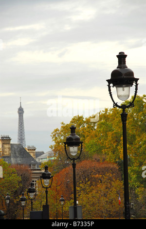 Straße in Paris Frankreich mit Lichtmasten an trüben Herbsttag Stockfoto