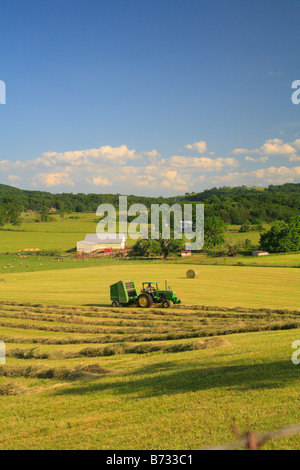 Ballen Heu, Swoope, Shenandoah Valley, Virginia Stockfoto