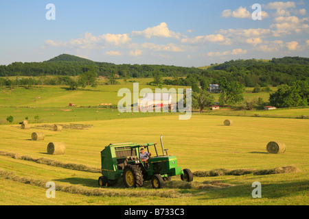 Ballen Heu, Swoope, Shenandoah Valley, Virginia Stockfoto