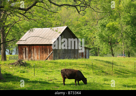 Bauernhof in New River Gorge National River, West Virginia, USA Stockfoto