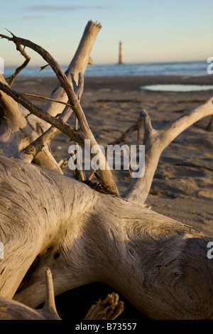 Sonnenaufgang über dem Folly Beach anzeigen Morris Leuchtturm durch Treibholz in der Nähe von Charleston SC Morris Lighthouse stammt aus dem Jahre 1767 Stockfoto