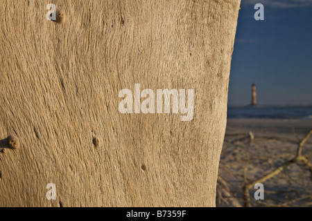 Sonnenaufgang über dem Folly Beach anzeigen Morris Leuchtturm durch Treibholz in der Nähe von Charleston SC Morris Lighthouse stammt aus dem Jahre 1767 Stockfoto