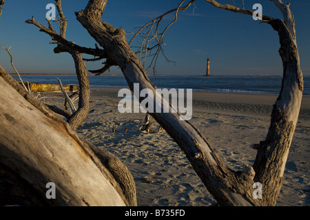 Sonnenaufgang über dem Folly Beach anzeigen Morris Leuchtturm durch Treibholz in der Nähe von Charleston SC Morris Lighthouse stammt aus dem Jahre 1767 Stockfoto