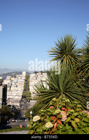 Auf der Suche nach Osten hinunter Lombard St San Francisco CA Stockfoto