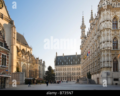 Das Stadhuis und St. Pieterskerk in der Grote Markt (Marktplatz) in mitten im Winter, Leuven, Belgien Stockfoto