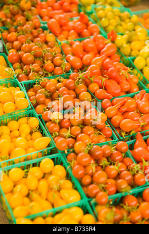 Auswahl von Kirschtomaten Bauern Markt Santa Barbara Kalifornien Vereinigte Staaten von Amerika Stockfoto