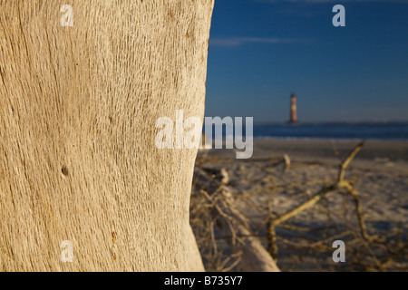 Sonnenaufgang über dem Folly Beach anzeigen Morris Leuchtturm durch Treibholz in der Nähe von Charleston SC Morris Lighthouse stammt aus dem Jahre 1767 Stockfoto
