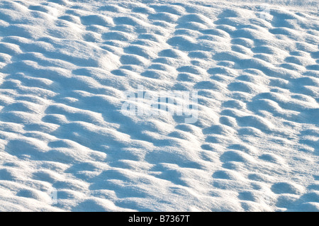 Neuschnee bedeckt Dach, Sud-Touraine, Frankreich. Stockfoto