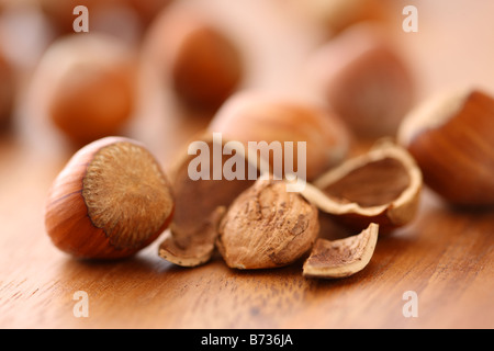 Nahaufnahme von Haselnüssen selektiven Fokus Stockfoto