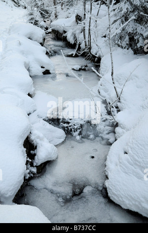 Bach in der Nähe von Oslo in Norwegen Winter eingefroren Stockfoto