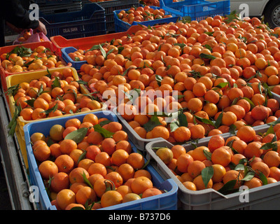 Orangenkartons zum Verkauf an Markt Paphos, Zypern Stockfoto