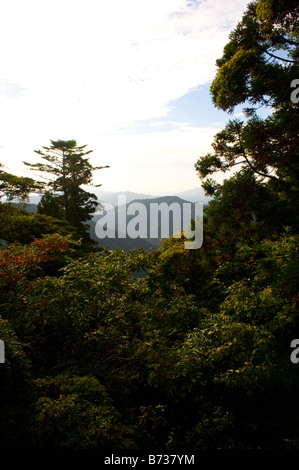 Die Aussicht vom Berg Koya in Koyasan, Wakayama, Japan. Stockfoto