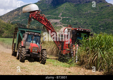 Ernte von Zuckerrohr auf einem Bauernhof, einem Traktor mit Anhänger und Mähdrescher auf Mauritius Stockfoto
