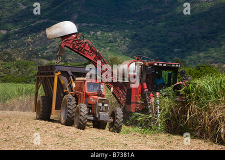 Ernte von Zuckerrohr auf einem Bauernhof, einem Traktor mit Anhänger und Mähdrescher auf Mauritius Stockfoto