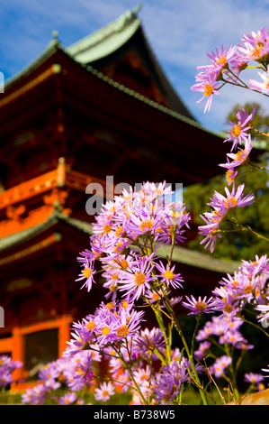 Detail der Daimon, das große Tor in Koyasan, Wakayama, Japan. Stockfoto