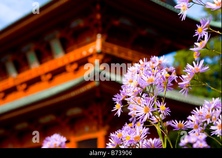 Detail der Daimon, das große Tor in Koyasan, Wakayama, Japan. Stockfoto