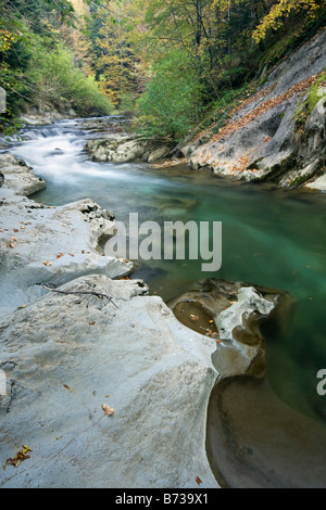 Urbeltza Fluss im Herbst, Selva de Irati, Spanische Pyrenäen Stockfoto