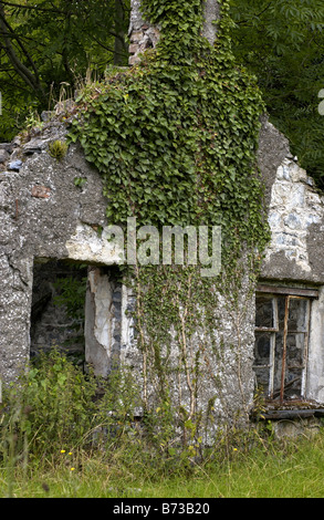 Verfallenes Gebäude mit Efeu, das in der Nähe von Carlow, S. Ireland, wächst Stockfoto