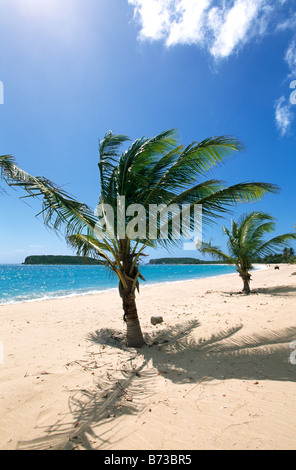 Sun Bay Beach auf Vieques Island-Puerto Rico-Karibik Stockfoto