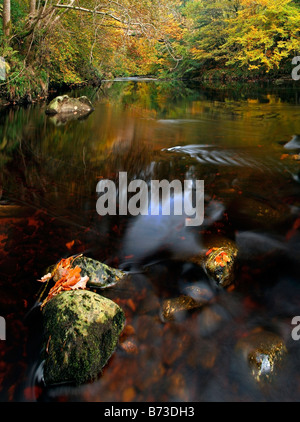 Herbst am River Findhorn, in der Nähe von Forres, Moray-Shire, Scotland Stockfoto