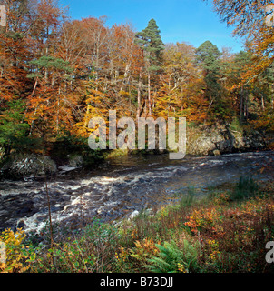 Herbst am River Findhorn 3, in der Nähe von Forres, Moray-Shire, Scotland Stockfoto