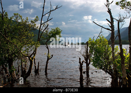 Loch Lochy in der Nähe von Laggan, Highlands, Schottland Stockfoto