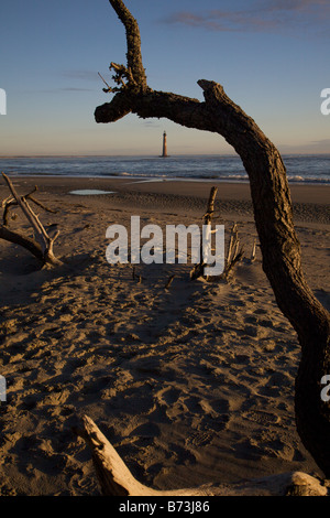 Sonnenaufgang über dem Folly Beach anzeigen Morris Leuchtturm durch Treibholz in der Nähe von Charleston SC Morris Lighthouse stammt aus dem Jahre 1767 Stockfoto