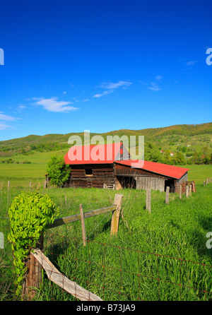 West Highland County, Virginia, USA Stockfoto