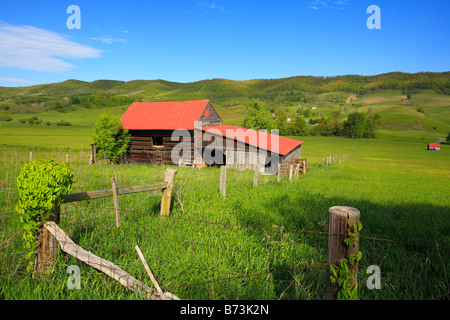 West Highland County, Virginia, USA Stockfoto